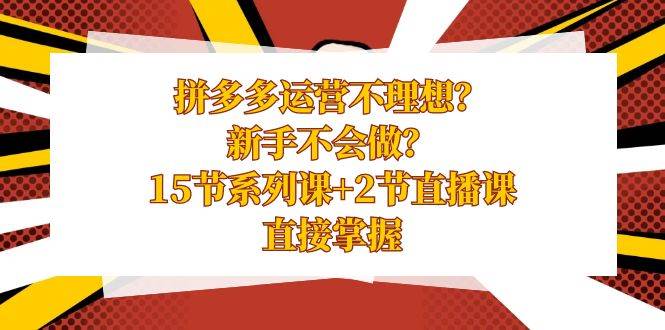 拼多多运营不理想？新手不会做？15节系列课+2节直播课，直接掌握-六道网创