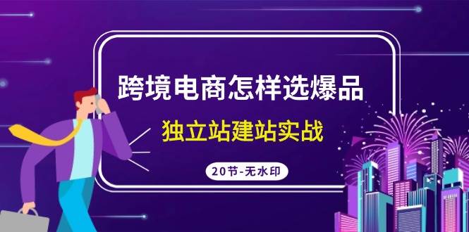 跨境电商怎样选爆品，独立站建站实战（20节高清无水印课）-六道网创