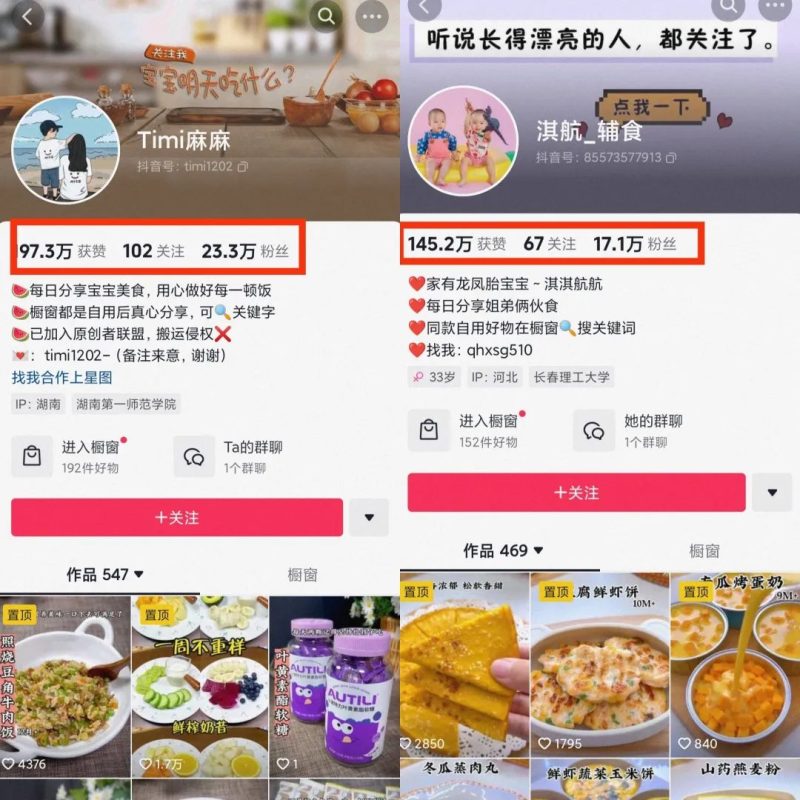 宝宝辅食副业新风口：手把手教你开启赚钱模式-六道网创