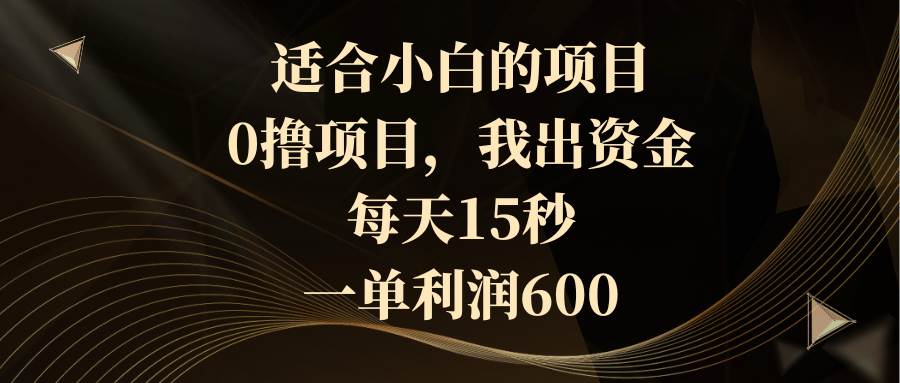 适合小白的项目，0撸项目，我出资金，每天15秒，一单利润600-六道网创