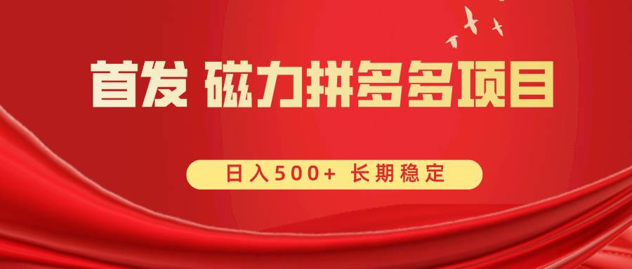 首发 磁力拼多多自撸  日入500+-六道网创