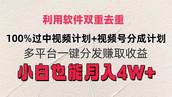 图片[1]-利用软件双重去重，100%过中视频+视频号分成计划小白也可以月入4W+-六道网创