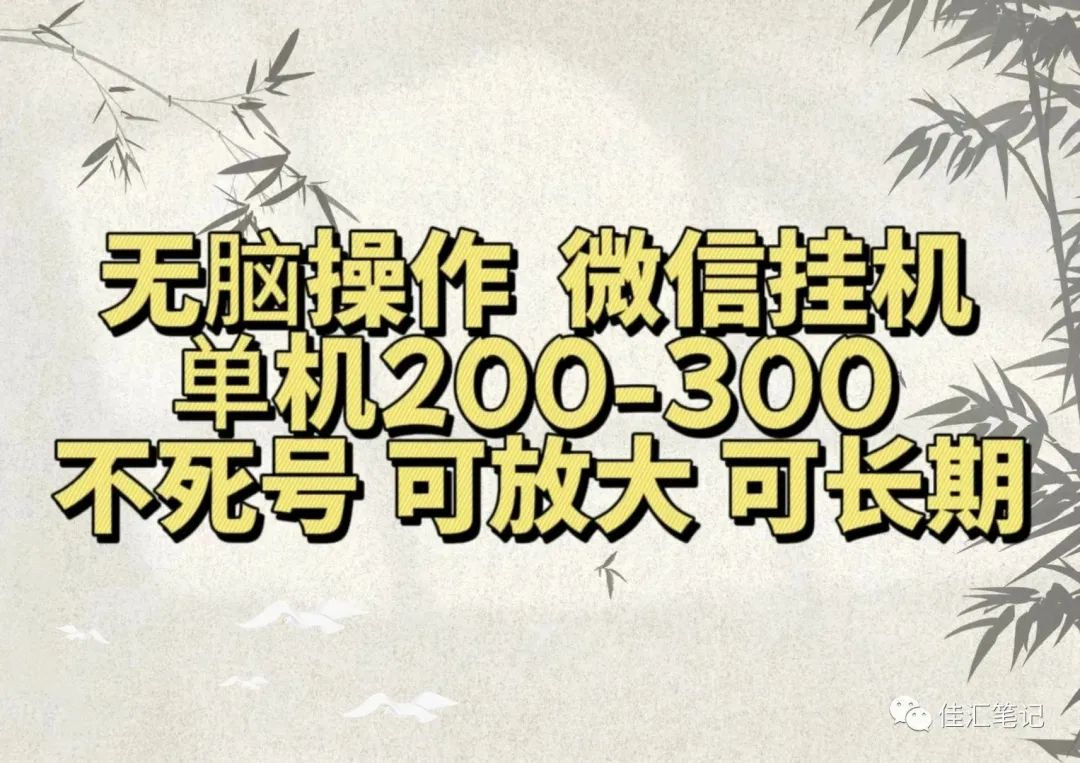 无脑操作微信视频号挂机单机200-300一天，不死号，可放大，工作室实测-六道网创