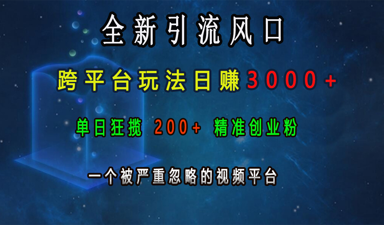 全新引流风口，跨平台玩法日赚3000+，单日狂揽200+精准创业粉，一个被严重忽略的视频平台-六道网创