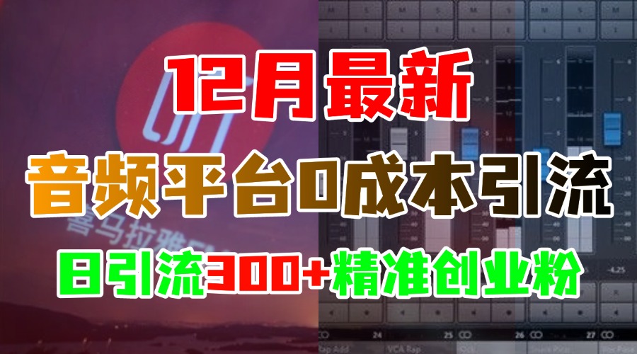 12月最新：音频平台0成本引流，日引300+精准创业粉-六道网创