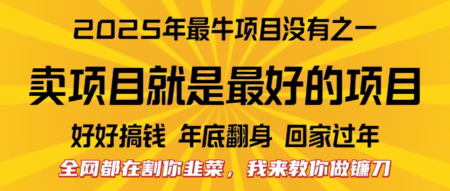 全网都在割你韭菜，我来教你做镰刀。卖项目就是最好的项目，2025年最牛互联网项目-六道网创