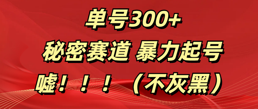 单号300+  秘密赛道 暴力起号  （不灰黑）-六道网创